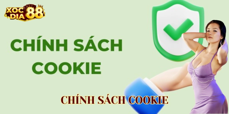 Chính Sách Cookie - Tối Ưu Trải Nghiệm - Bảo Mật Toàn Diện Chính sách Cookie có gì đặc biệt