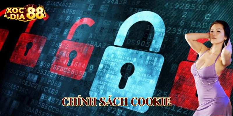 Chính Sách Cookie - Tối Ưu Trải Nghiệm - Bảo Mật Toàn Diện Chính sách Cookie là gì?